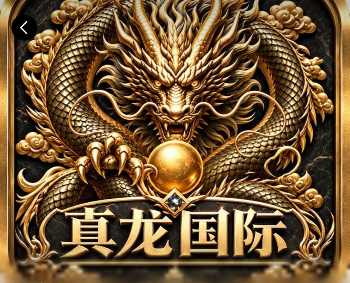 真龙国际